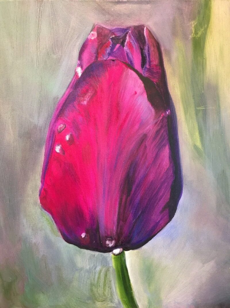 "French Tulip" Floral Painting by Cherise Stutzman Fine Art